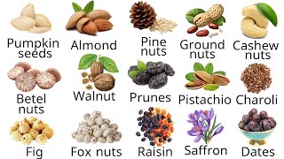 20 Dry Fruits Name in English  Nuts And Seeds Names With Pictures  Dry Fruits Vocabulary [upl. by Neisa]