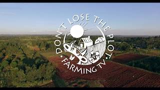 Dont Lose the Plot Series 1  Episode 13 Who will be our farming hero English [upl. by Jorey]