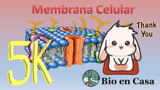 TODO sobre Membrana celular [upl. by Latimer]