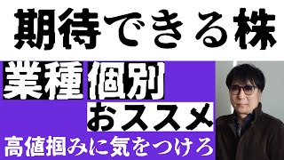 期待できる株／業種・個別株おすすめ高値掴みに気をつけろ [upl. by Ileana]