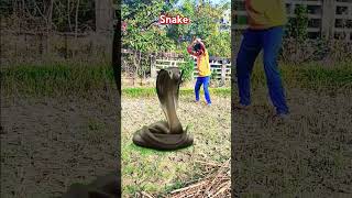 How This Snake VFX Went Viral vfx 3d animationcgi [upl. by Gnaoh933]