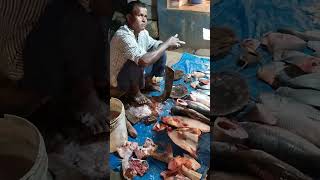 BIG TUNA FISH CUTTING BY SPEED SELV shorts fishcuting viralvideo 👍👍 [upl. by Anselme50]