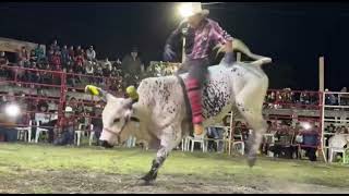 JEFE SIERREÑO DE XIXILA VS TORO EL ÓRBITA [upl. by Jehanna]