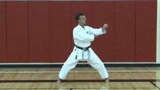 Tekki Shodan  Commentary [upl. by Reitman]