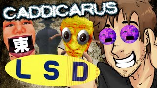 OLD LSD Dream Emulator  Caddicarus [upl. by Noislla861]