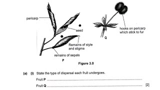 2012 G12 BIOLOGY PAPER 2 QUESTION 3 [upl. by Hoover308]