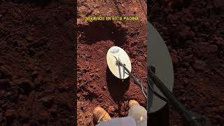 ¡ ASI ENCONTRARIAS MUCHO ORO EN LOS SUELOS AURIFEROS  DETECTOR DE METALES ⚒️deteccionmetalica oro [upl. by Lisha]