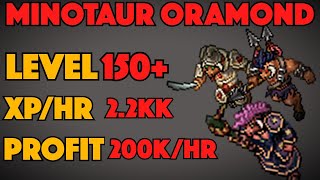 TIBIA MINOTAUR ORAMOND  EK HUNT SOLO  LEVEL 150 [upl. by Averill]