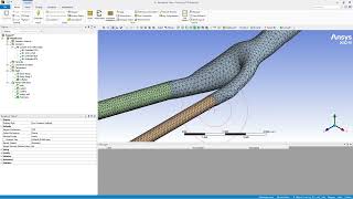 BME206Lab 01  Hemodynamic Analysis of 3D Bifurcating Carotid Artery without Postprocessing [upl. by Adorne853]