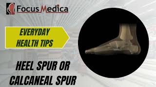 Heel spur or Calcaneal spur [upl. by Eenitsed]