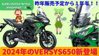 【VERSYS】遂にヴェルシス650の国内販売！キタ～！！カワサキ【2024年】 [upl. by Downing]