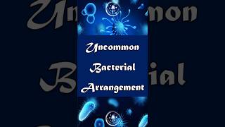 Bacterial Shapes Explained Vibrio Spirilli Pleomorphic and More bacterialdiseases biology [upl. by Solim]