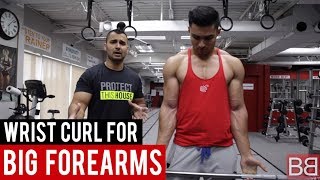 WRIST CURLS for FOREARMS Hindi  Punjabi [upl. by Duma]