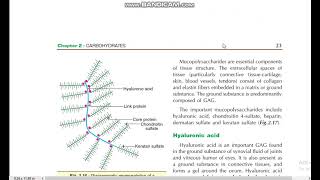 Heteropolysachharides structure of mucopolysachharides Hyaluronic acid biochemistry DMLT RPMC [upl. by Snodgrass]