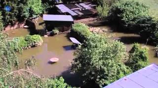 Hochwasser in Gera [upl. by Arundell]