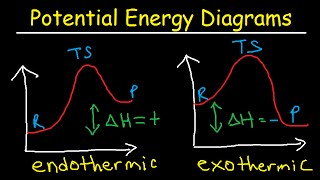 Potential Energy Diagrams  Chemistry  Catalyst Endothermic amp Exothermic Reactions [upl. by Ibloc]