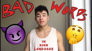 BAD WORDS IN SIGN LANGUAGE [upl. by Ytsirk]