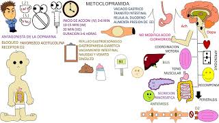 Farmacología METOCLOPRAMIDA [upl. by Flavian837]