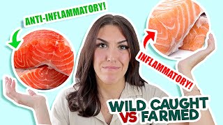 WILD CAUGHT SALMON vs FARM RAISED SALMON Nutrition Differences Benefits Colour [upl. by Eivol]