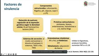 Aeromonas SPP  posgrado Infectología UNAL [upl. by Kosel56]