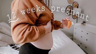 12 WEEKS PREGNANT FINDING THE HEARTBEAT AND GENETIC TESTING [upl. by Tila]