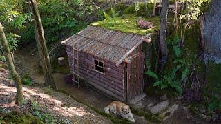 Building a Bushcraft Cabin for Survival in the Wood  solo camping and cooking4K [upl. by Assela]