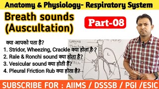 Lung sounds  Normal and Abnormal Stridor Croup Wheezing Ronchi Cracles Rale lungsounds [upl. by Anuahc]