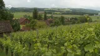 Die Weinregion Thurgau in der Schweiz  Euromaxx [upl. by Masson]