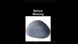 Before mewing and after mewing [upl. by Otcefrep]