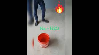 Sodium react with water  experiment class 10 science [upl. by Ahsenra]