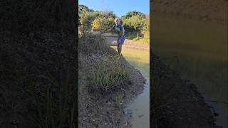 Woodland Island Headland landscaping forent ponds permaculture adventure ideas motivation [upl. by Ardnahsal]