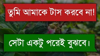 সিনিয়র বউ  Senior wife  Bangla Romantic Story  Tanvirs Voice [upl. by Lerual]