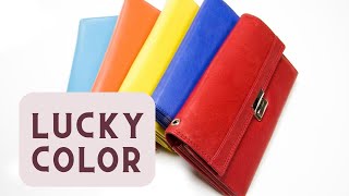 Lucky color wallet 2024 [upl. by Pul]