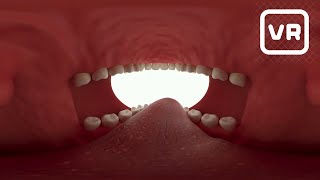 Realidade Virtual 360° Colgate [upl. by Lakim]