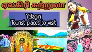 ஏலகிரி சுற்றுலா  Yelagiri Tourist Places in Tamil  Yelagiri Hills [upl. by Thay]