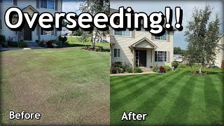 How To OVERSEED Your Lawn in SPRING  Complete Step by Step Guide [upl. by Ardnaeed]