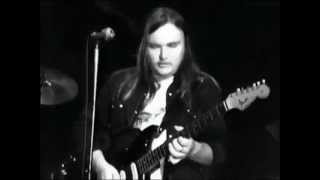 Lynyrd Skynyrd  complete concert from Winterland 1975 [upl. by Arved892]