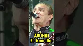 AVÔHAI DE ZÉ RAMALHO Herança Cultural avôhai zéramalho sinonimos shorts [upl. by Yerggoeg514]