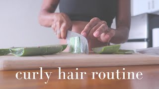 Aloe Vera Hair Mask  Curly Hair Routine [upl. by Yelruc]