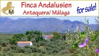 for sale romantische Finca Spain Antequera Málaga zu verkaufen [upl. by Sugna281]