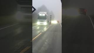 Big Trailer Truck in Foggy Road shortvideo shorts truck travel rositaegner1628 [upl. by Nek]