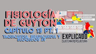 CAP 13 13 Taquicardia bradicardia y bloqueos AV l Fisiología de Guyton [upl. by Ardnahsal48]