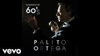 Palito Ortega  Fugitiva Official Audio [upl. by Asserac]