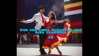 huaracha sabrosona Alberto pedraza con letra [upl. by Gniliem]