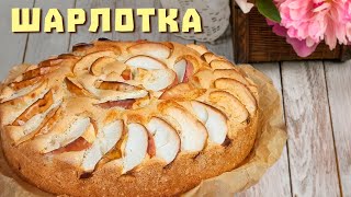 ШАРЛОТКА классическая с яблоками рецепт в духовке Пышная и обалденно вкусная [upl. by Nylyahs921]