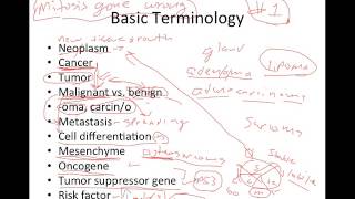 Introduction to Cancer [upl. by Alistair]