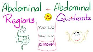 Anatomy  Major Organs amp Abdominopelvic QuadrantsRegions [upl. by Archie]