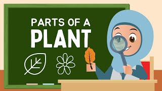 Parts of the Plant [upl. by Yemarej]