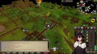 pvp in the wilderness  1 def [upl. by Onek92]