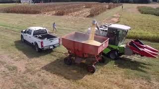 Basinger Lab Corn Harvest  JPC [upl. by Stefanie]